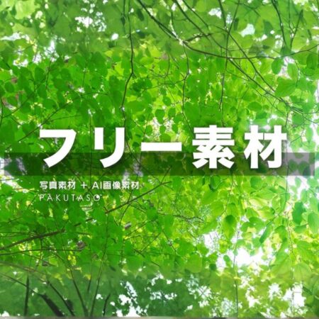 ぱくたそ