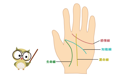 手相の解説