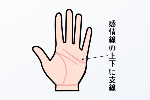 感情線の上下に支線