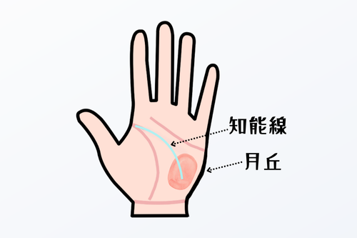 月丘に向かう知能線